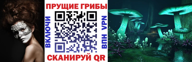 Галлюциногенные грибы мицелий  Купить где  Боровичи 